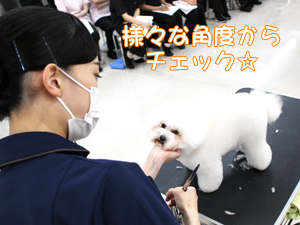 ２年生に向けて！先生の試技会♪②